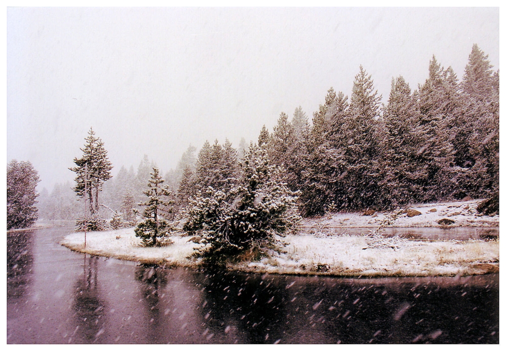 07 - Yosemite NP (21).jpg